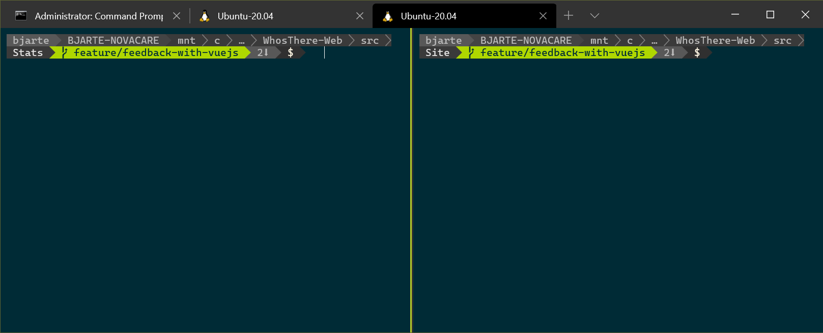 Advanced setup for Windows Terminal